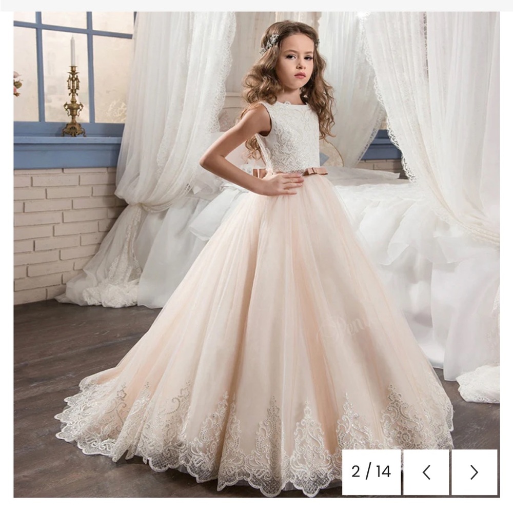 Elegant Flower Girl Light Pink Lace Dress